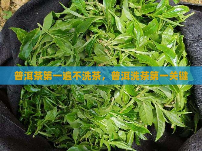 普洱茶第一遍不洗