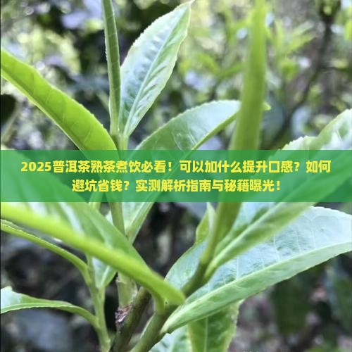 普洱茶熟茶可以加什么煮