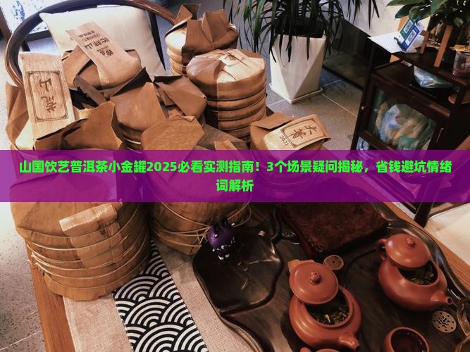 山国饮艺普洱茶小金罐