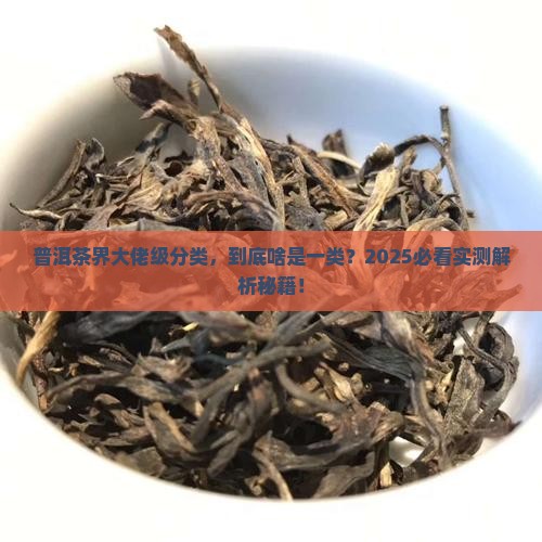 普洱茶啥是一类