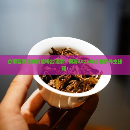 谷雨普洱茶作用与功效