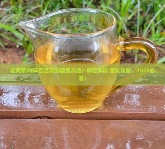 老班章20年普洱茶