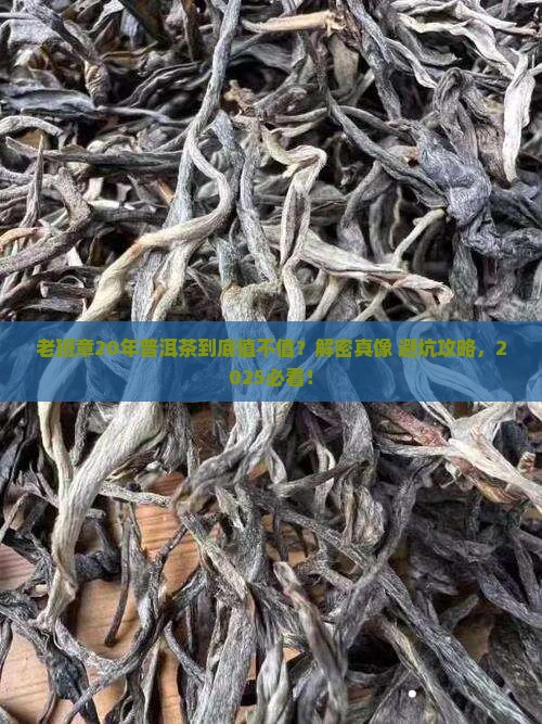 老班章20年普洱茶