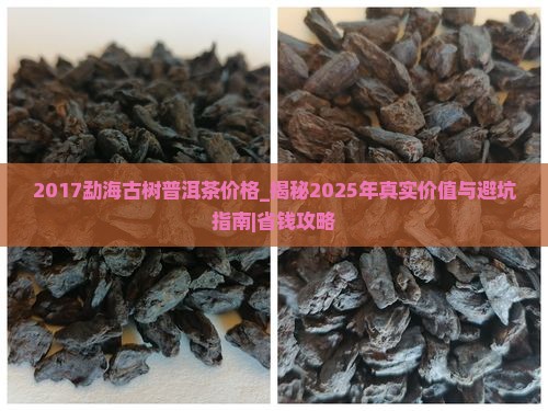 2017勐海古树普洱茶价格