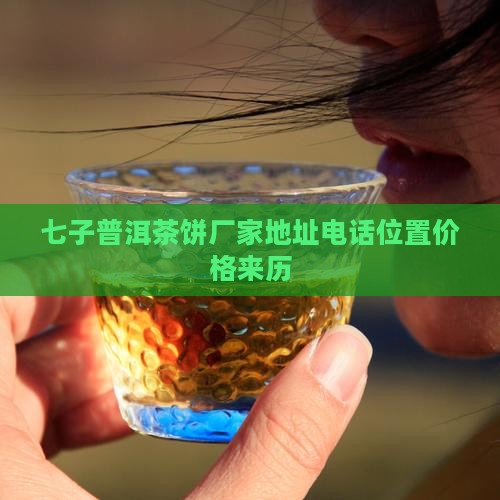 七子普洱茶饼厂家