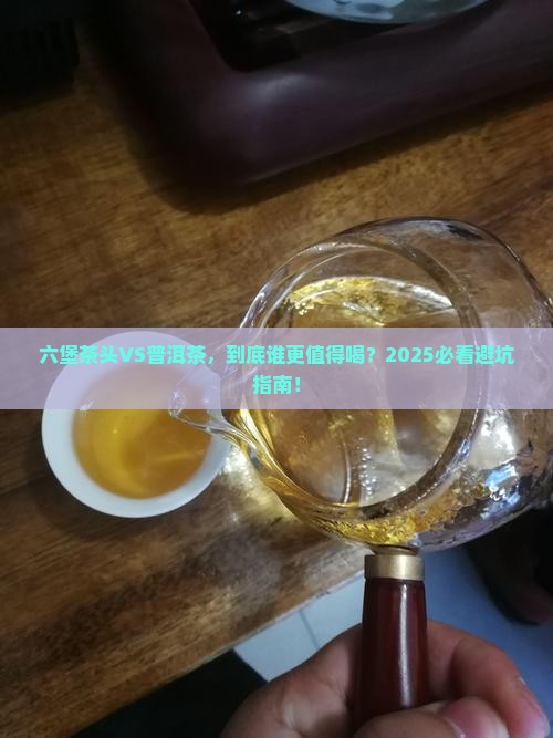 六堡茶头与普洱茶区别 六堡茶头与普洱茶区别
