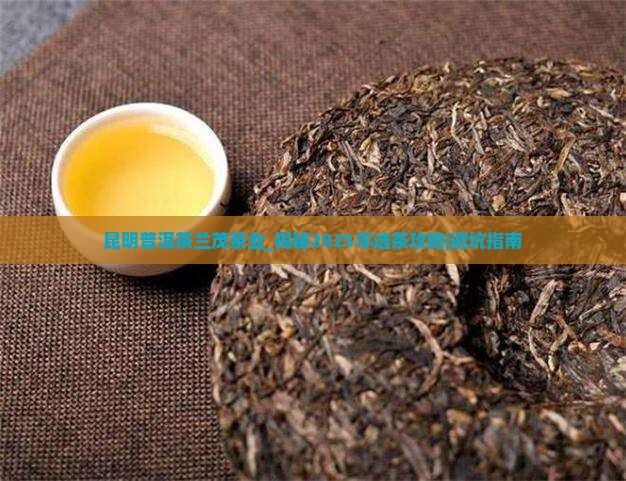 昆明普洱茶兰茂茶业