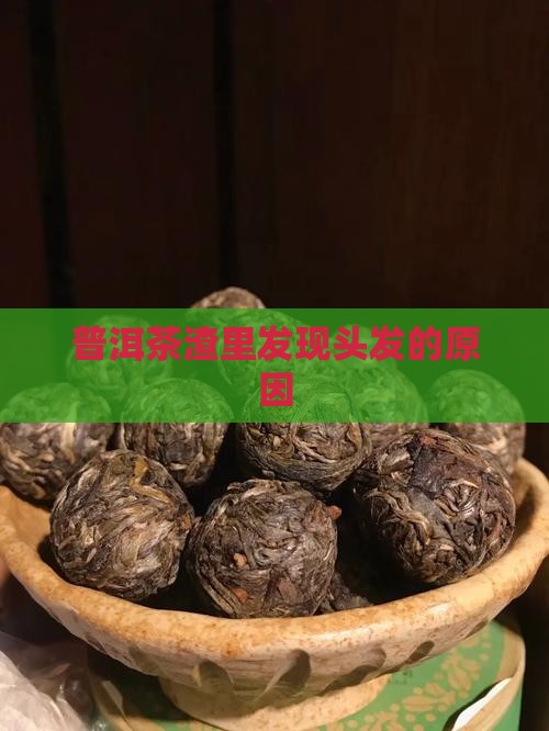 普洱茶渣里发现头发