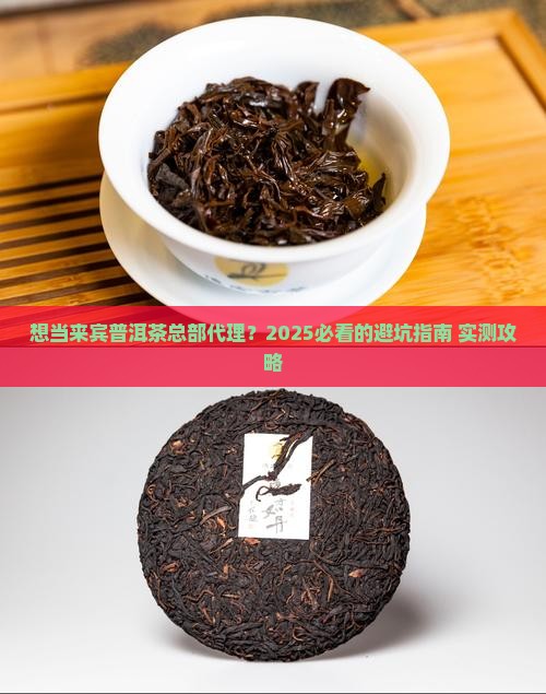 来宾普洱茶总部代理