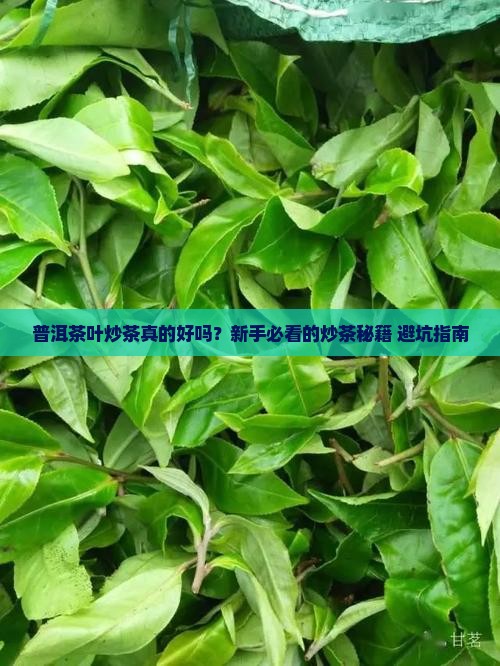 普洱茶叶炒茶好吗怎么炒
