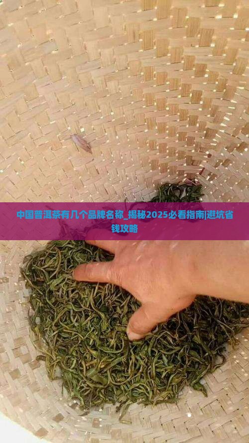 中国普洱茶有几个品牌名称