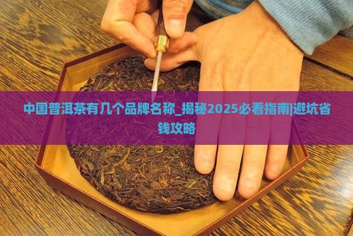 中国普洱茶有几个品牌名称
