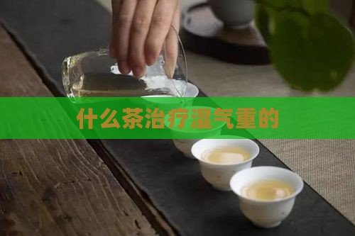 什么茶治疗湿气重的