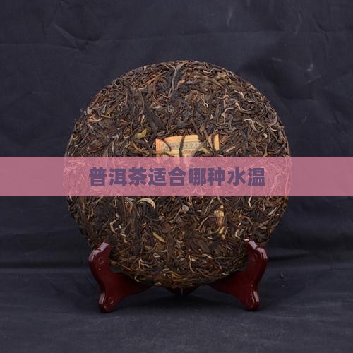 普洱茶适合哪种水温