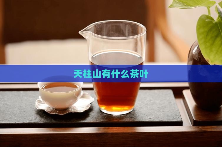 天柱山有什么茶叶