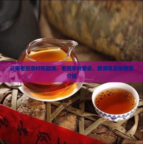 云南老班章村在勐海