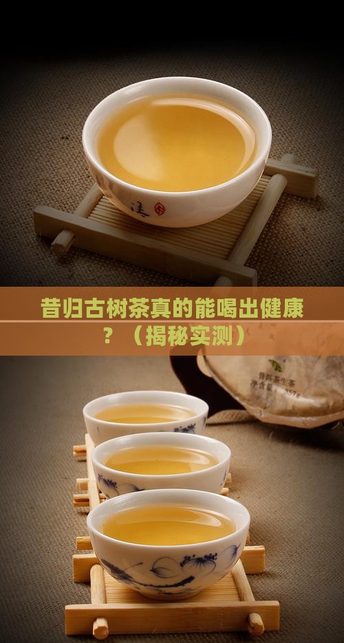 昔归古树茶的功效