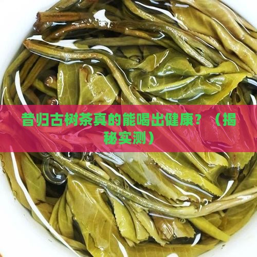 昔归古树茶的功效
