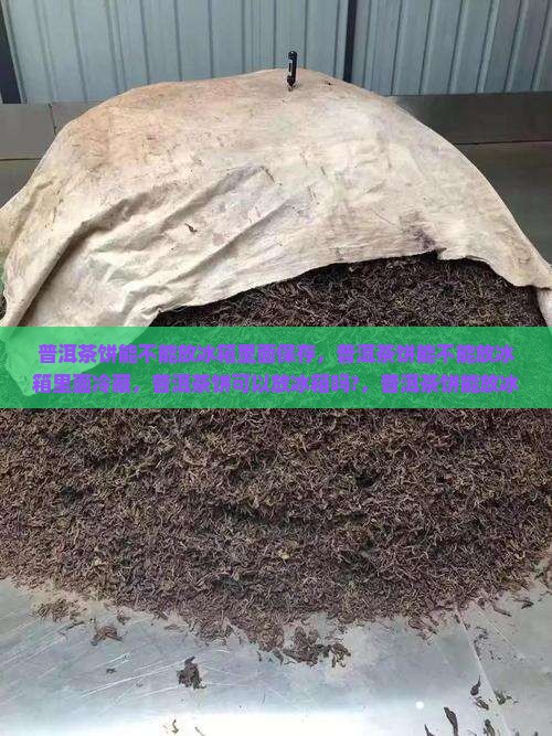 普洱茶饼能不能放冰箱里面