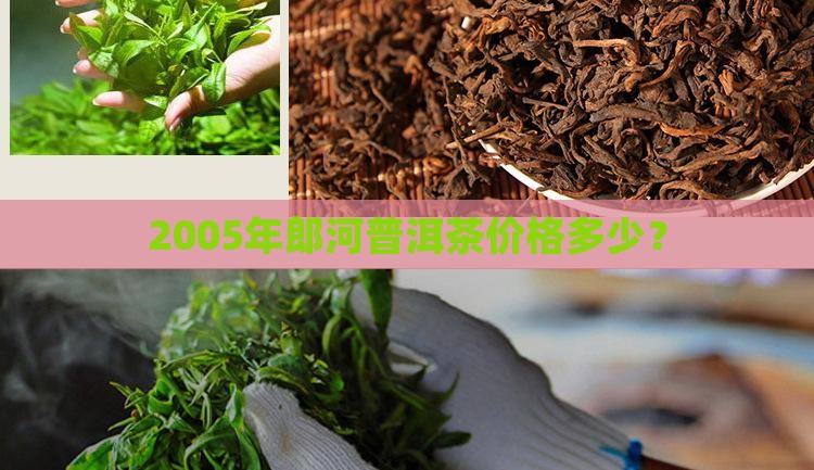 2005年郎河普洱茶价格