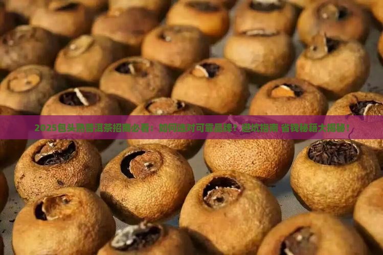 包头可靠熟普洱茶招商