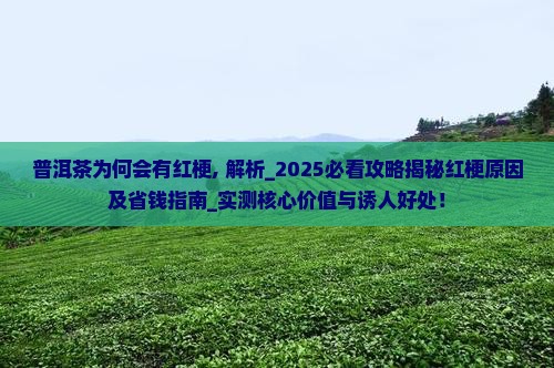 普洱茶为何会有红梗