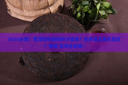 普洱茶什么样值钱是生茶吗