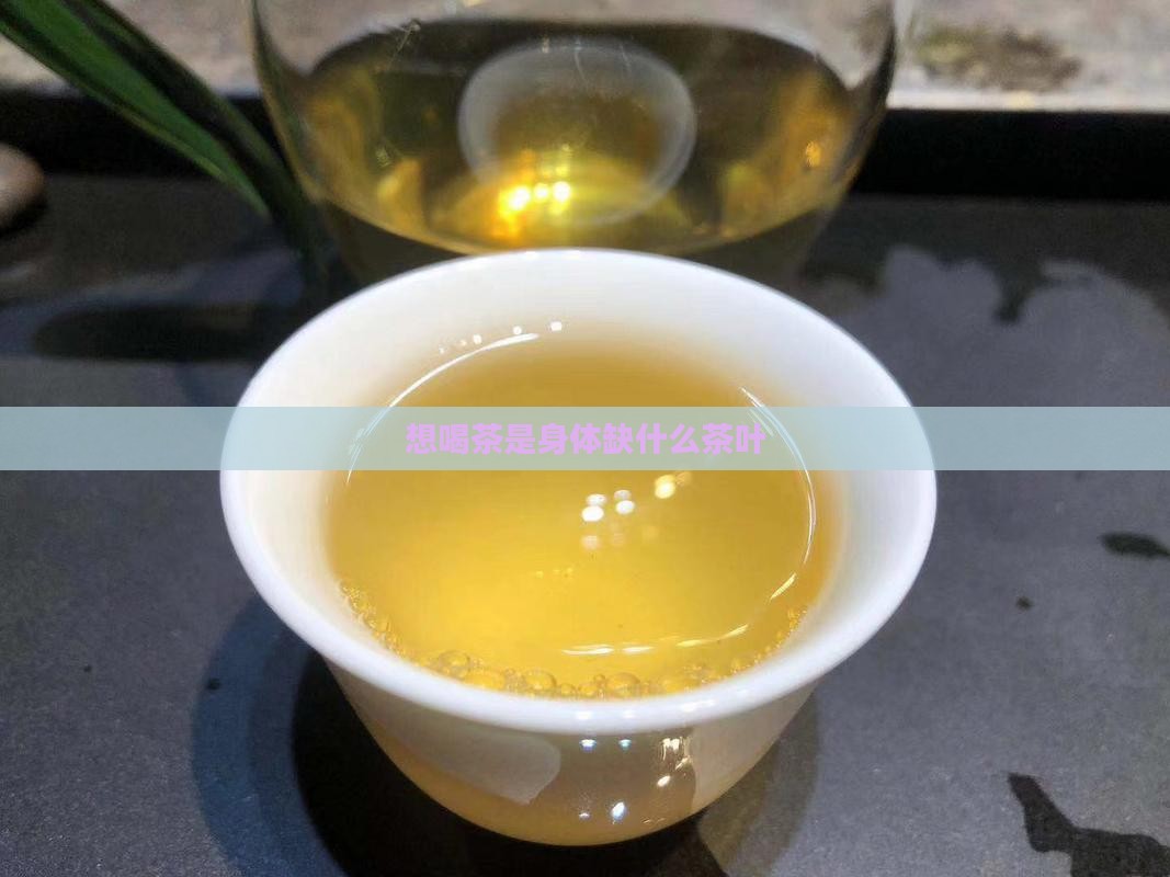 想喝茶是身体缺什么