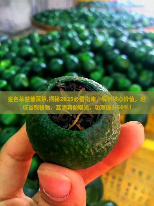 金色某益普洱茶