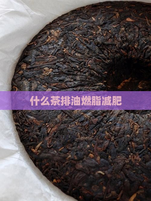 什么茶排油燃脂减肥