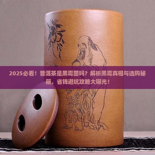 普洱茶是黑霉菌吗