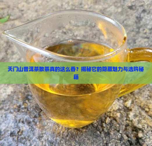 天门山普洱茶散茶特点是什么
