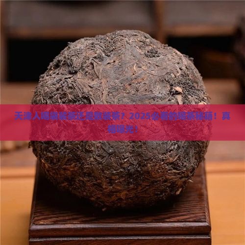 天津喝袋装茶还是散装茶