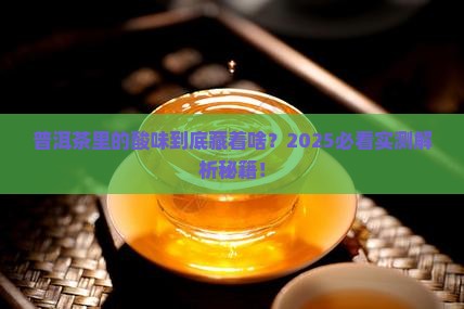 普洱茶里的酸性是什么