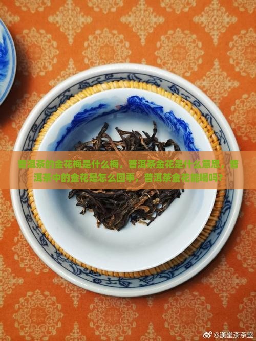 普洱茶的金花梅是什么梅