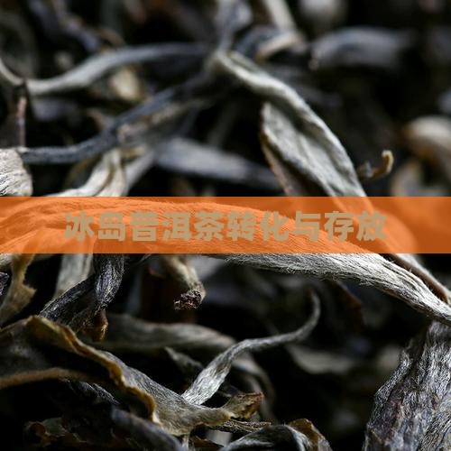 冰中岛普洱茶存放转化