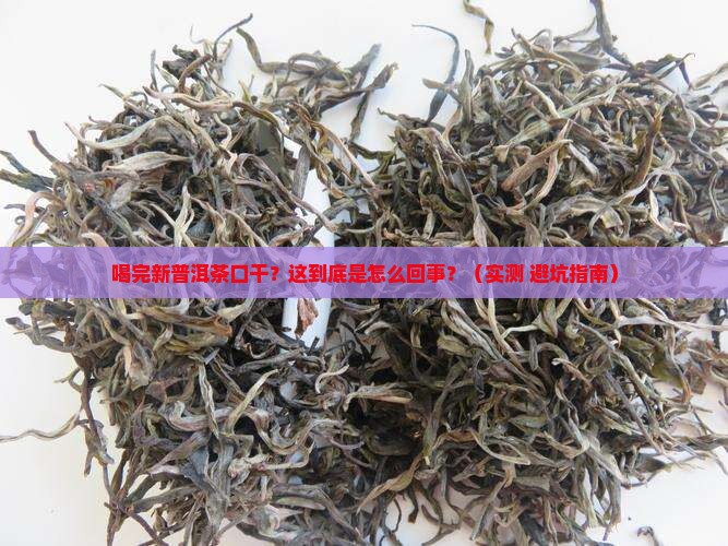 新普洱茶喝完口干