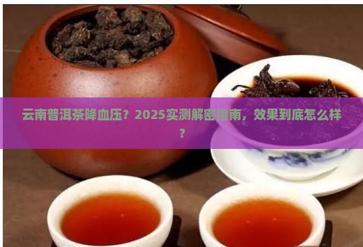 云南普洱茶降血压效果好吗