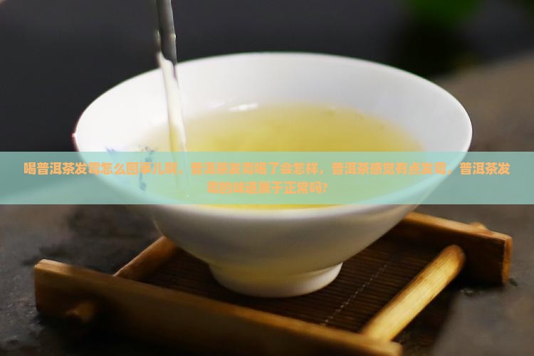 喝普洱茶发霉怎么回事儿