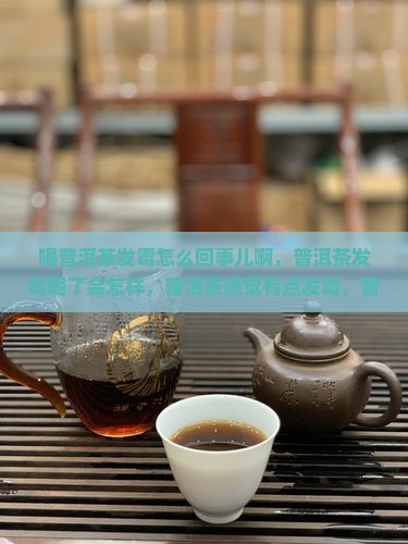 喝普洱茶发霉怎么回事儿