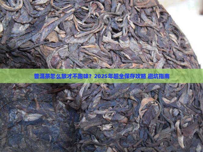 普洱茶怎么放不变味儿呢