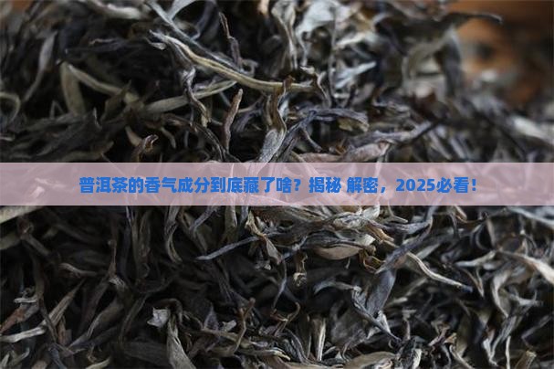 普洱茶香气成分有什么类