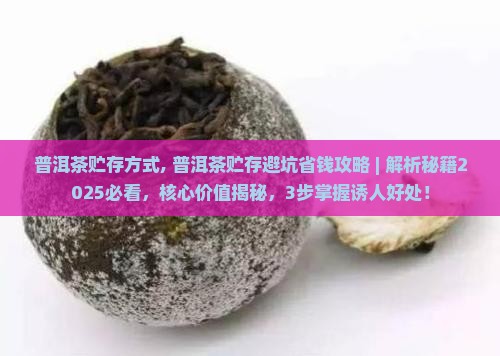 普洱茶贮存方式