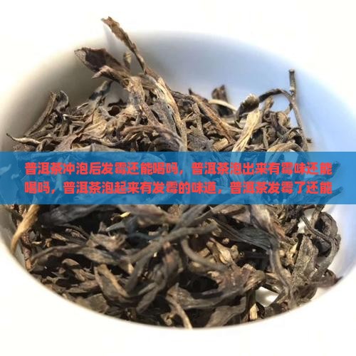 普洱茶冲泡后发霉还能喝吗