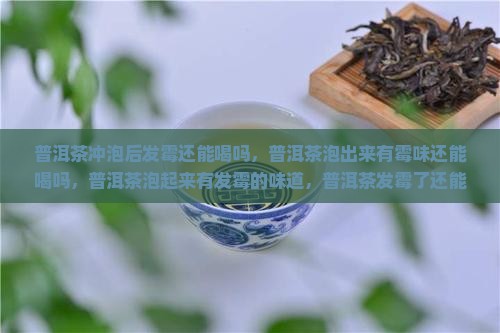 普洱茶冲泡后发霉还能喝吗