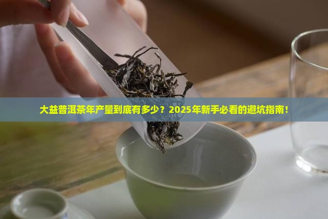 大益普洱茶年产量