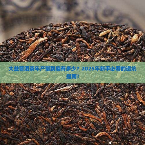 大益普洱茶年产量