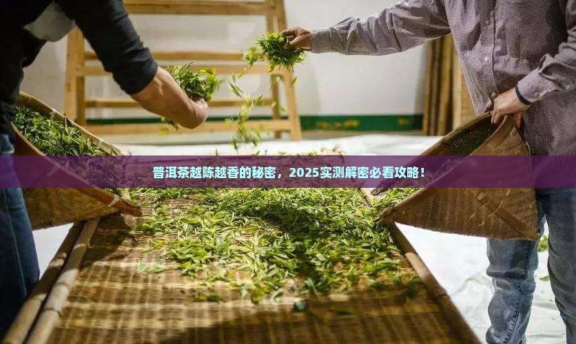 普洱茶怎样越陈越香的