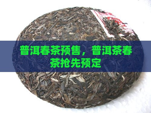 普洱茶春茶预售