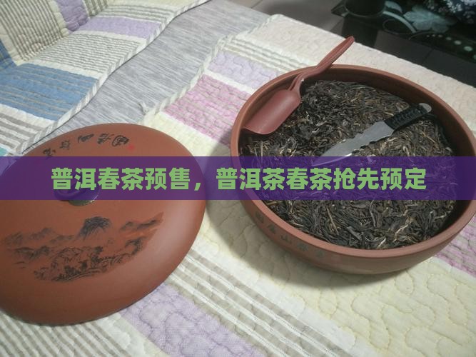 普洱茶春茶预售
